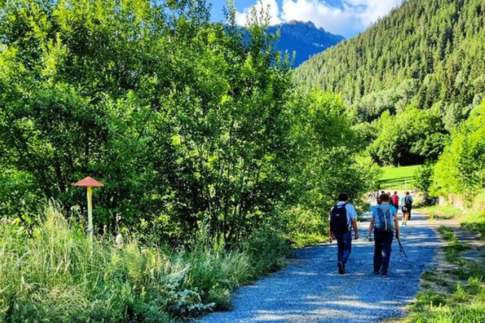 Via Francigena. Road to Rome 2021