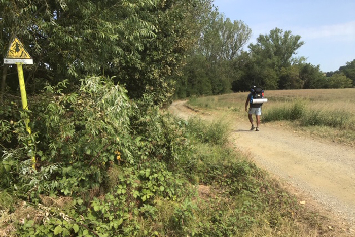 Via Francigena. Road to Rome 2021