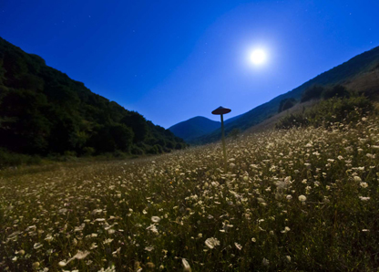 Sicurezza del tracciato